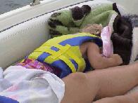 Taking A Short Nap....